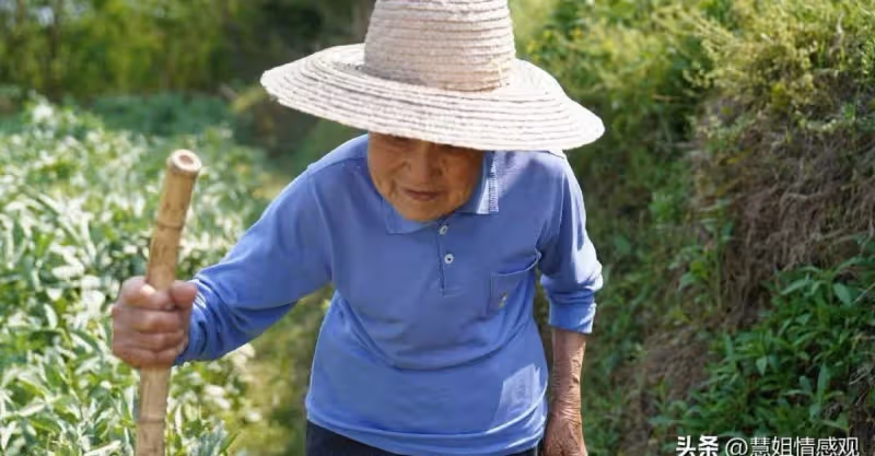 嫂子去世後，我哥外出打工侄子沒人管，婆婆對我說：接到咱家來