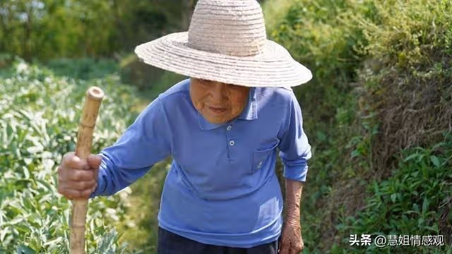 嫂子去世後，我哥外出打工侄子沒人管，婆婆對我說：接到咱家來