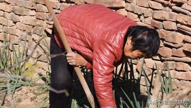 嫂子去世後，我哥外出打工侄子沒人管，婆婆對我說：接到咱家來