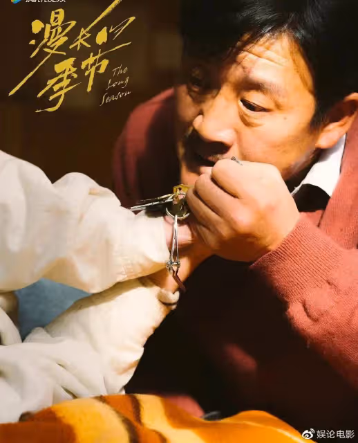 豆瓣9.3分,張靜初飾演中年沈墨,楊冪梅婷等追看《漫長的季節》