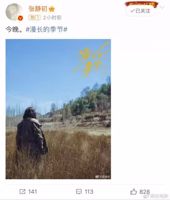 豆瓣9.3分,張靜初飾演中年沈墨,楊冪梅婷等追看《漫長的季節》