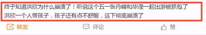 曝洪欣張丹峰離婚原因:五一和畢瀅出遊被抓包,孩子生病無人管