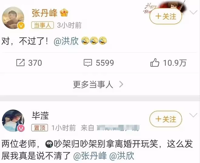知情人士稱洪欣不是蠢女人!上億物業沒寫張丹峰名字,早有防備