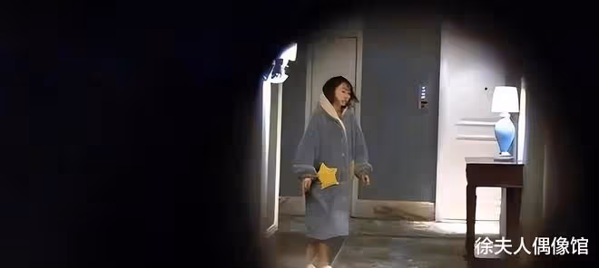 品洪欣和張丹峰的離婚聲明,這個女人的戲卻最最多