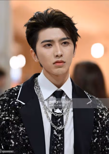 Met Gala:蔡徐坤拿扇子獲好評,宋慧喬公主切超美,賀聰眼妝搶鏡