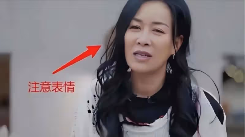 事實證明，「不可一世」的那英，已走上不歸路