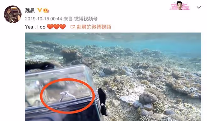 37歲魏晨官宣當爸,曬夫妻孕期寫真,不忘加入橙子等元素取悅粉絲