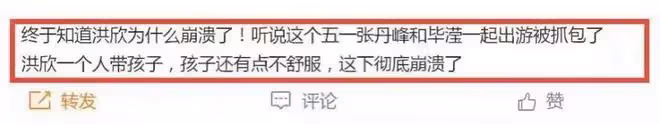 洪欣離婚原因曝光:疑似張丹峰畢瀅五一出遊被抓包,財產被轉移