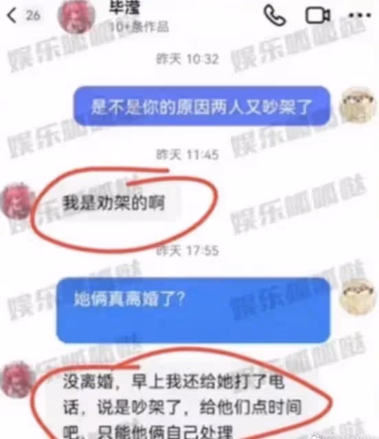 畢瀅爆料洪欣張丹峰沒離婚,只是吵架,曾找公關被建議立抑鬱人設