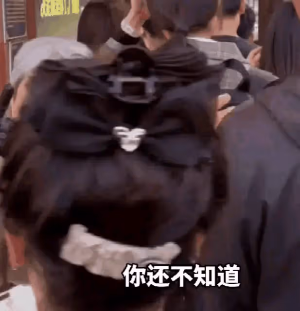 「插隊事件」鬧大了:母女委屈,官媒互撕,景區說自己也是受損方