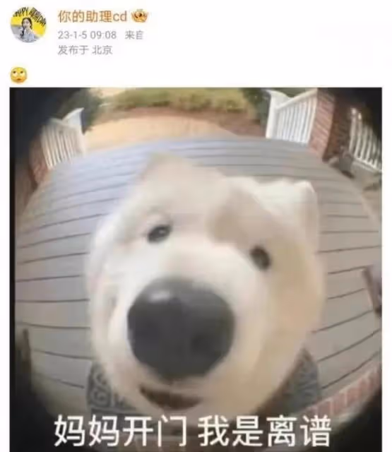 楊穎離婚後流言不斷,曬與谷愛凌合影只管自己美,谷愛凌發圖反擊