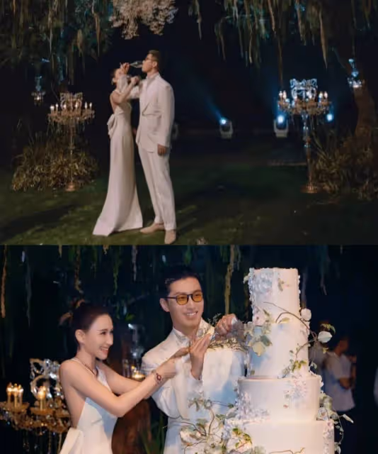 爆料陳婉珍照顧竇驍，何超蓮只准夸女婿，不許談事