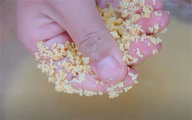 涼皮又出新花樣，用小米就能做，口感更好更爽滑，一口下去超過癮