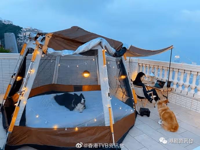 TVB視後住15億山頂豪宅成焦點!她卻希望大家多關注自己作品