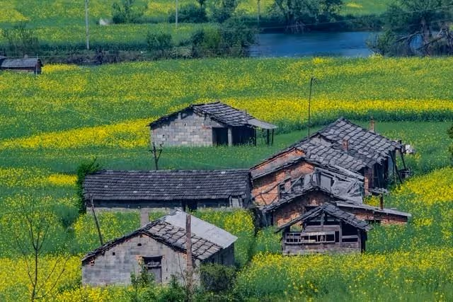 105歲阿公獨居40年無人問津！心寒立遺囑「把1500萬拆遷款留給鄰居」　如今「被3兒子提告」法院判了