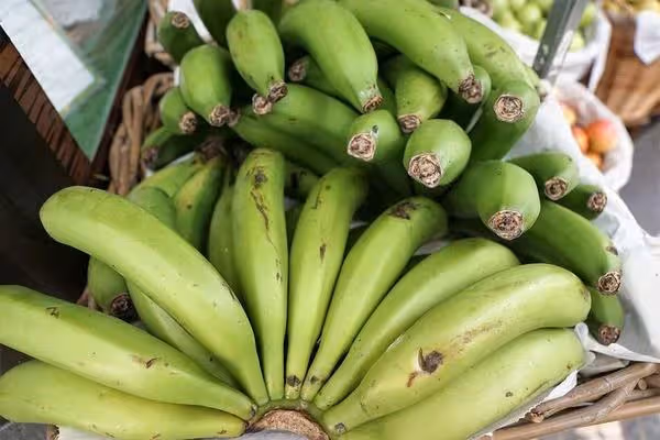 排便困難就吃香蕉、酸奶？提醒：其實這2類食物才是「天然瀉劑」