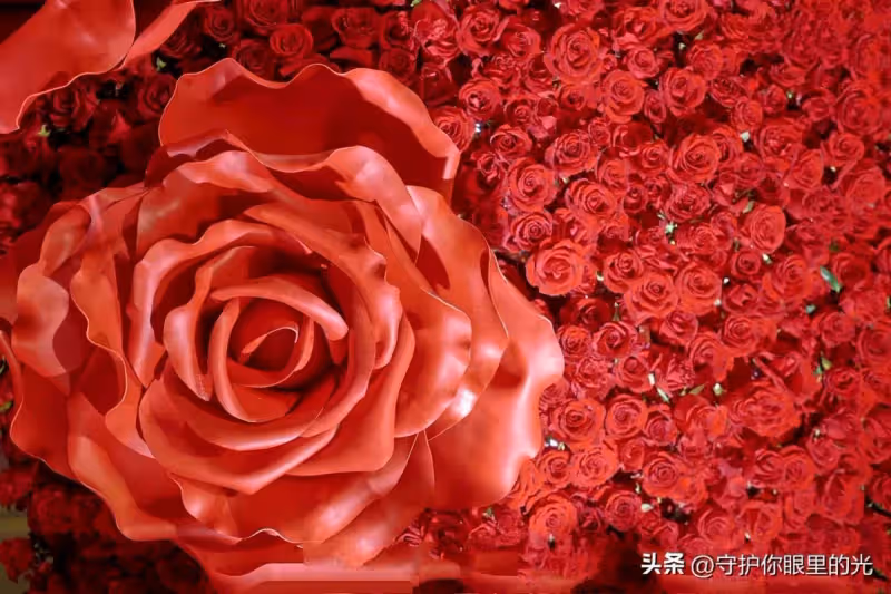 粉絲傾一城之花贈肖戰,再把花海的愛發出去!