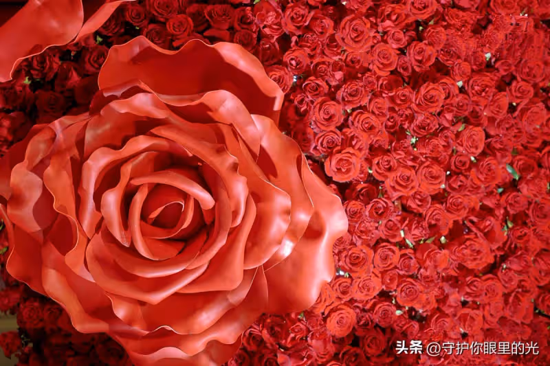 粉絲傾一城之花贈肖戰,再把花海的愛發出去!