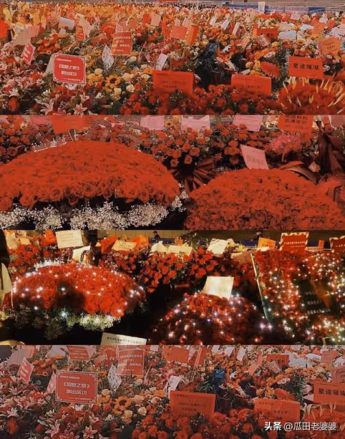 粉絲傾一城之花贈肖戰,再把花海的愛發出去!
