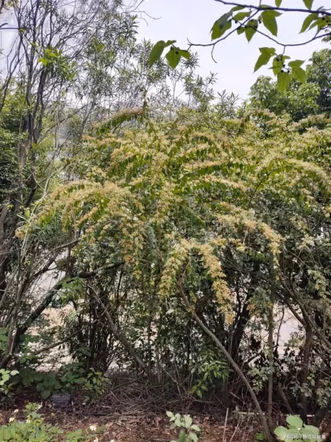 兒子和兒媳對我很孝順,10年後,我卻狠心將兒子兒媳趕出了家門