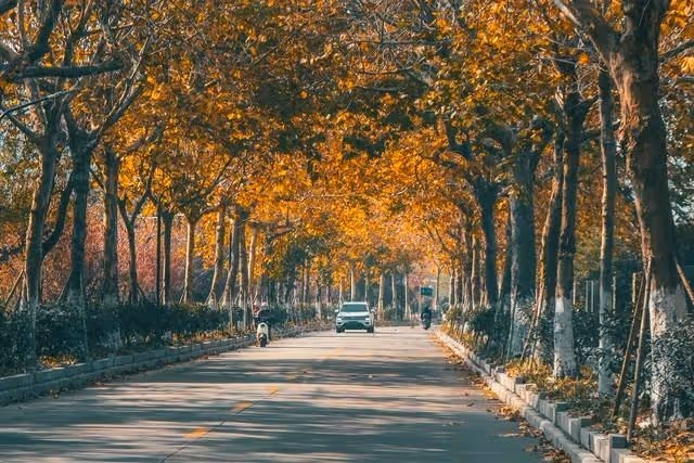 病父無人顧！我讓看護「一家三口都住進我家」管吃管住　沒想到「老父親的變化」震驚所有人