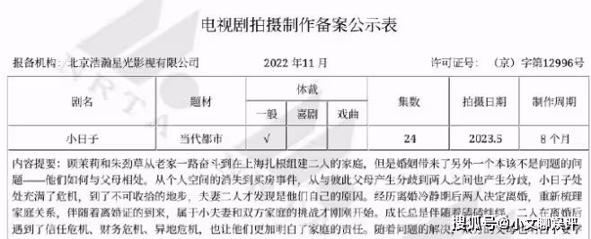 電視劇《小日子》陣容官宣,《小日子》講述了什麼故事?