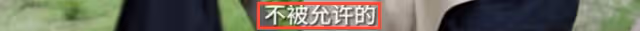 李亞鵬抱娃迎立夏，小院開墾種蔬菜被通知違法，菜苗全剷除太可惜