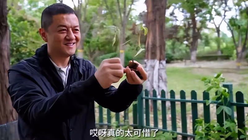 李亞鵬抱娃迎立夏，小院開墾種蔬菜被通知違法，菜苗全剷除太可惜