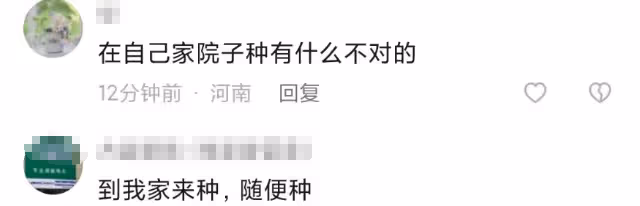 李亞鵬抱娃迎立夏，小院開墾種蔬菜被通知違法，菜苗全剷除太可惜