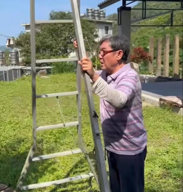李立群回家探親計劃有變,望河南哥哥不要怪罪,上樹剪樹枝腰扭傷
