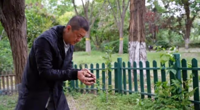 李亞鵬:宅基地被強制執行收走了,種的花花草草,全部被無情拔掉