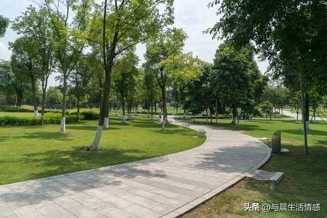 多子多孫多福氣?人到老後才明白「這輩子生一個就好」 擁有獨生子女的長輩「晚年會過得更幸福」