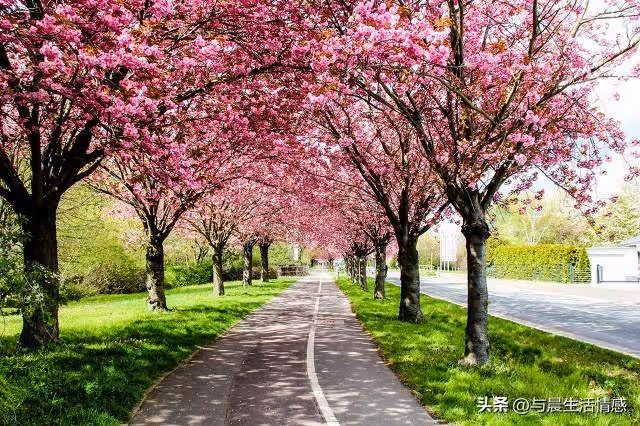 多子多孫多福氣?人到老後才明白「這輩子生一個就好」 擁有獨生子女的長輩「晚年會過得更幸福」