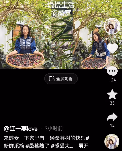 江一燕定居農村住瓦房,攜婆婆女兒摘桑葚,門口種桑樹被指不吉利