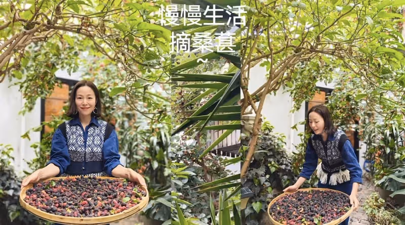 江一燕定居農村住瓦房,攜婆婆女兒摘桑葚,門口種桑樹被指不吉利