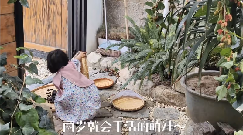 江一燕定居農村住瓦房,攜婆婆女兒摘桑葚,門口種桑樹被指不吉利