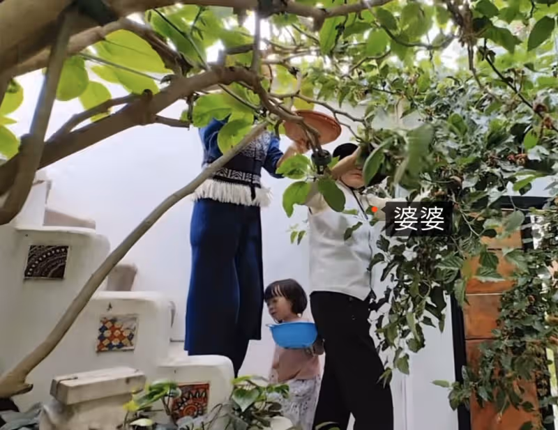 江一燕定居農村住瓦房,攜婆婆女兒摘桑葚,門口種桑樹被指不吉利