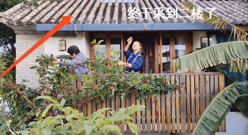 江一燕定居農村住瓦房,攜婆婆女兒摘桑葚,門口種桑樹被指不吉利