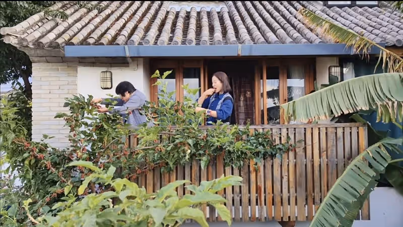 江一燕定居農村住瓦房,攜婆婆女兒摘桑葚,門口種桑樹被指不吉利