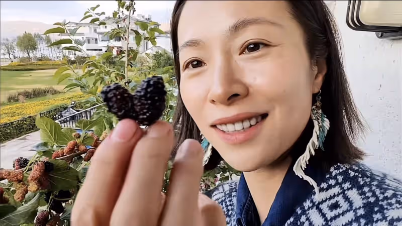 江一燕定居農村住瓦房,攜婆婆女兒摘桑葚,門口種桑樹被指不吉利