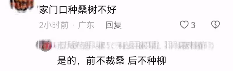 江一燕定居農村住瓦房,攜婆婆女兒摘桑葚,門口種桑樹被指不吉利