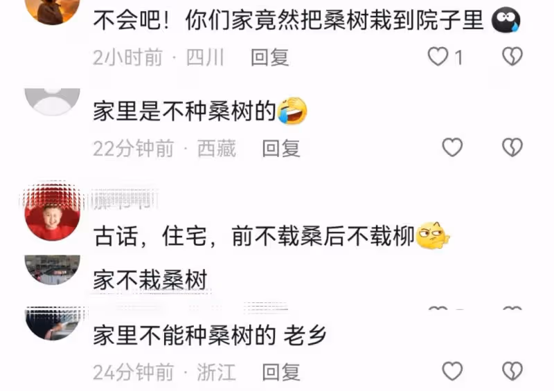 江一燕定居農村住瓦房,攜婆婆女兒摘桑葚,門口種桑樹被指不吉利