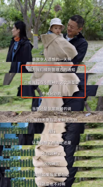 禍不單行!李亞鵬再被管理方點名!在公共場合搭院子種農作物挨批