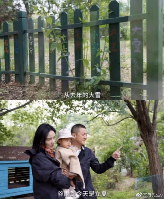 禍不單行!李亞鵬再被管理方點名!在公共場合搭院子種農作物挨批