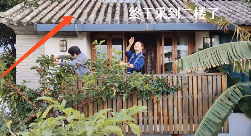 江一燕教娃唱跳「挖呀挖」,跪在地上與孩子互動,2歲女兒顏值頗高