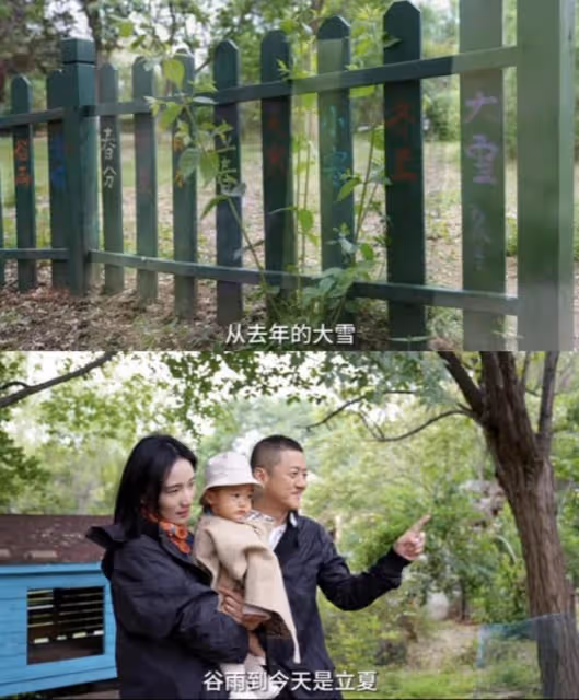 禍不單行!李亞鵬再被管理方點名!在公共場所搭院子種農作物挨批