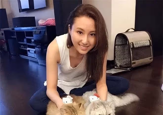 東京那一夜,賭王三房准女婿被傳疑似性侵,豪門何家一度顏面掃地