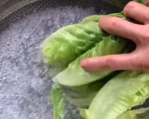 【蚝油生菜】★粵菜/下飯菜/快手菜/拿手菜