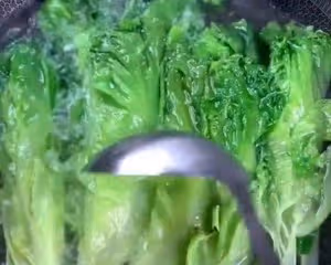 【蚝油生菜】★粵菜/下飯菜/快手菜/拿手菜