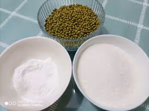 自製綠豆棒冰